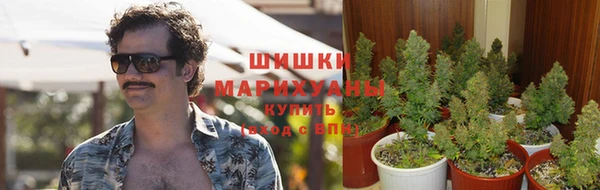мет Алзамай