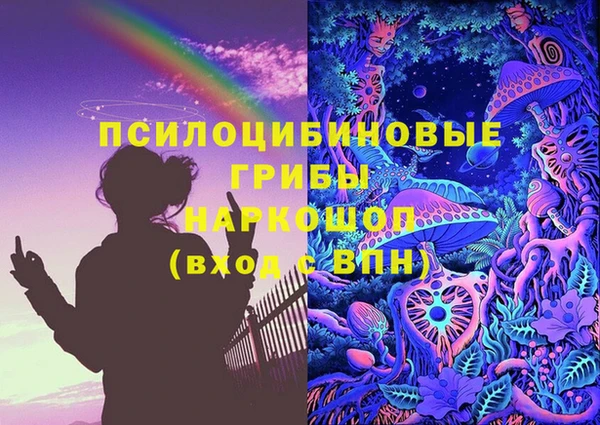 трава Снежногорск