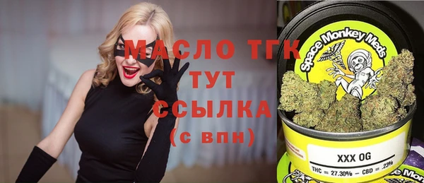 гашик Алексеевка