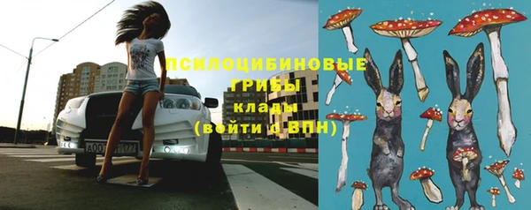 гашик Алексеевка