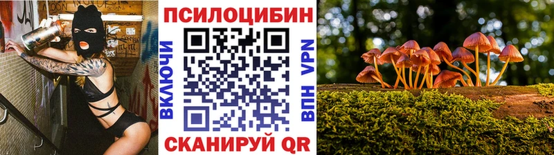 где найти   Заволжск  Псилоцибиновые грибы ЛСД 